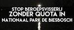 Stop beroepsvisserij zonder quota in Nationaal Park de Biesbosch