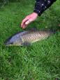 IMG-20151119-WA0000