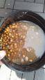 IMG-20170601-WA0006