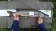 IMG-20171118-WA0001