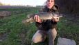 IMG-20171118-WA0007