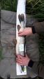 IMG-20171118-WA0008