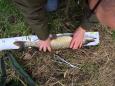 IMG-20171118-WA0051