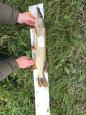 IMG-20171118-WA0055