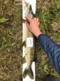 IMG-20171118-WA0060