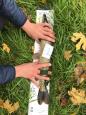IMG-20171118-WA0062