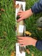 IMG-20171118-WA0063
