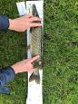 IMG-20171118-WA0065