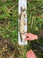 IMG-20171118-WA0072