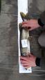 IMG-20171118-WA0074