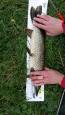 IMG-20171118-WA0081