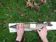IMG-20171118-WA0084