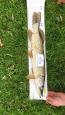 IMG-20171118-WA0086