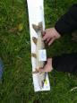 IMG-20171118-WA0102