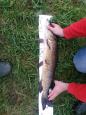 IMG-20171118-WA0103