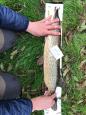 IMG-20171118-WA0107
