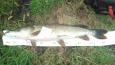 IMG-20171118-WA0117