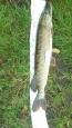 IMG-20171118-WA0121