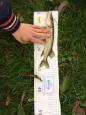 IMG-20171118-WA0127