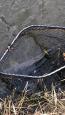 IMG-20171118-WA0130