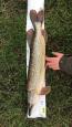 IMG-20171118-WA0133