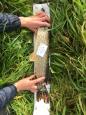 IMG-20171118-WA0135