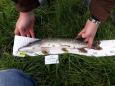 IMG-20171118-WA0141