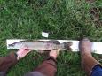 IMG-20171118-WA0144