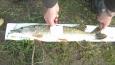 IMG-20171118-WA0145
