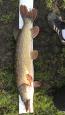 IMG-20171118-WA0149