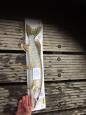 IMG-20171118-WA0156