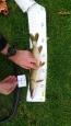 IMG-20171118-WA0157