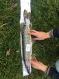 IMG-20171118-WA0166