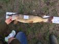 IMG-20171118-WA0169