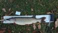 IMG-20171118-WA0171