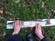IMG-20171118-WA0173
