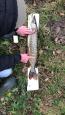 IMG-20171118-WA0180