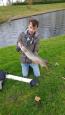 IMG-20171118-WA0181