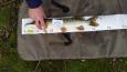 IMG-20171118-WA0187