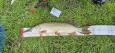 IMG-20240224-WA0017.jpg