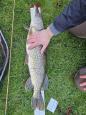 IMG-20240224-WA0018.jpg