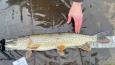IMG-20240224-WA0021.jpg