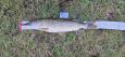 IMG-20240224-WA0032.jpg
