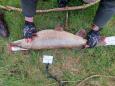 IMG-20240224-WA0042.jpg