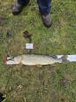 IMG-20240224-WA0057.jpg