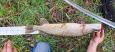 IMG-20240224-WA0086.jpg