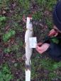IMG-20240224-WA0089.jpg