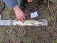 IMG-20240224-WA0103.jpg