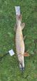 IMG-20240224-WA0106.jpg