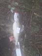 IMG-20240224-WA0118.jpg